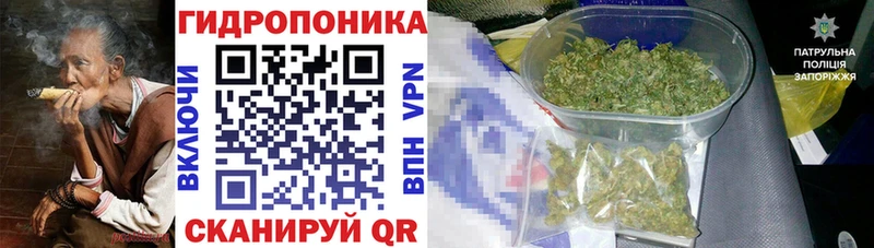дарнет шоп Полтавская ОМГ ОМГ рабочий сайт Бошки марихуана тримм
